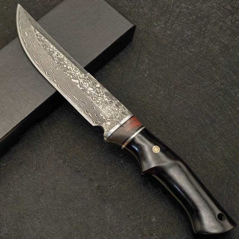 Damaskus VG10 Outdoor-Multifun – Dive Knife Titanium Bewertung und Preis